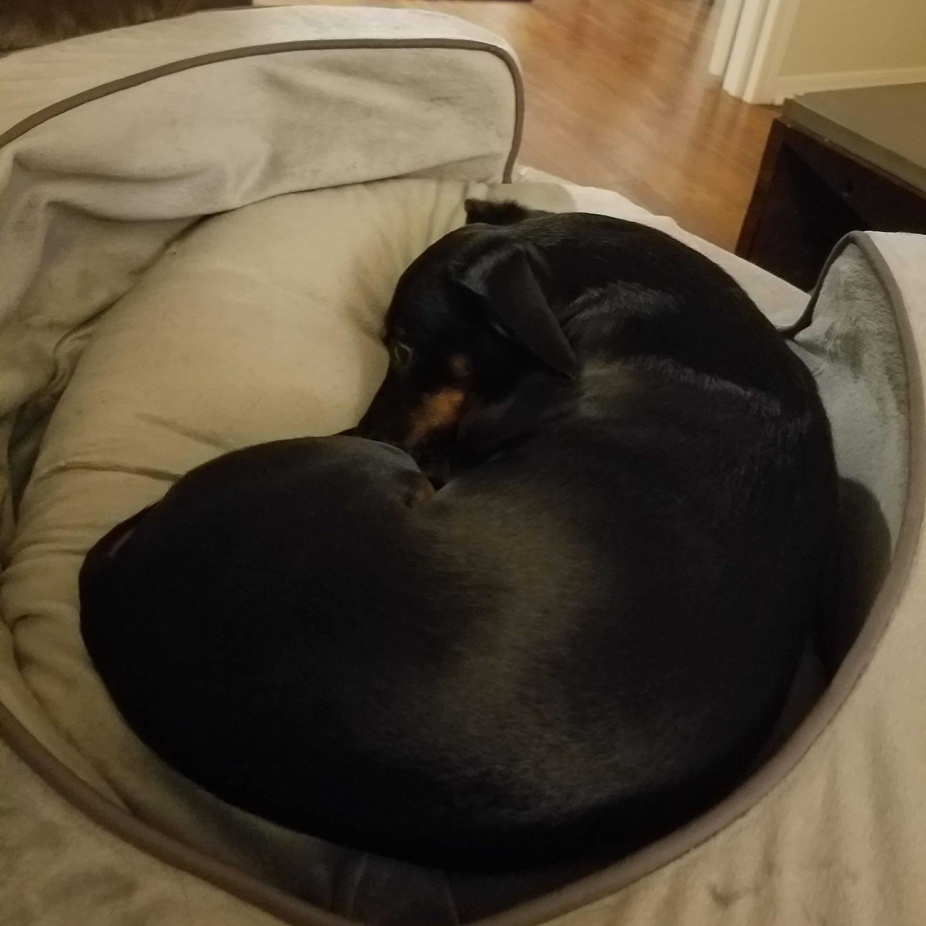 Bebe at home waiting for Tone