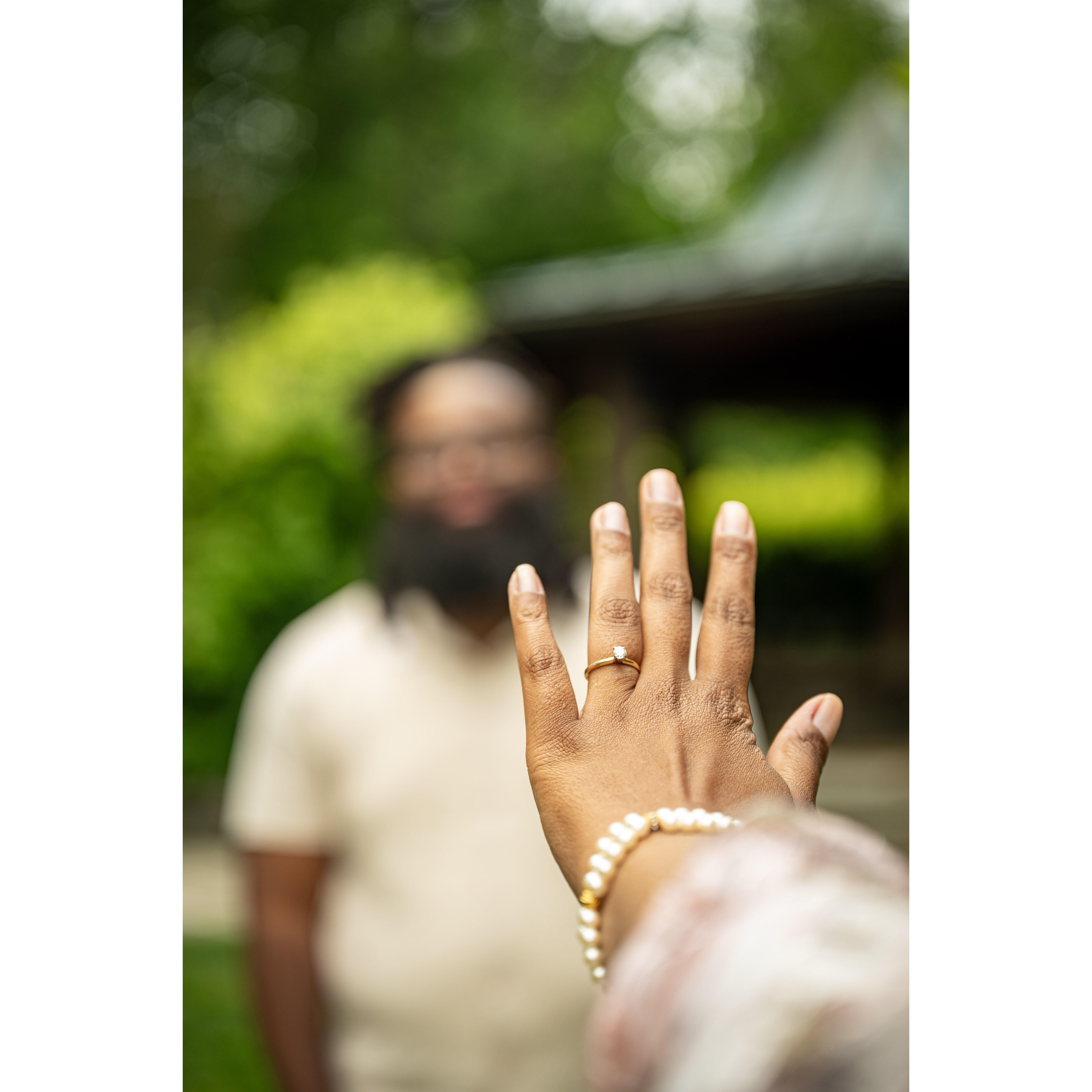 Jin702 Photography - Engagement Shoot at Brookside Gardens - Wheaton, MD (05/23/25)