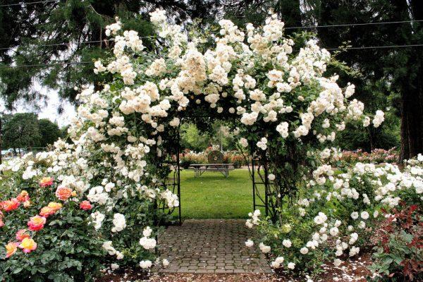 The Wedding Website of Tia Ha and Chandler Daversa