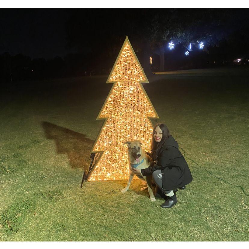 And we had a blast celebrating our fist Christmas in Texas