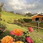 Barn House Above Kamaki Place