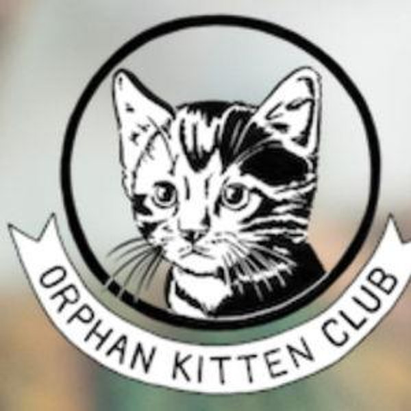 Orphan Kitten Club
