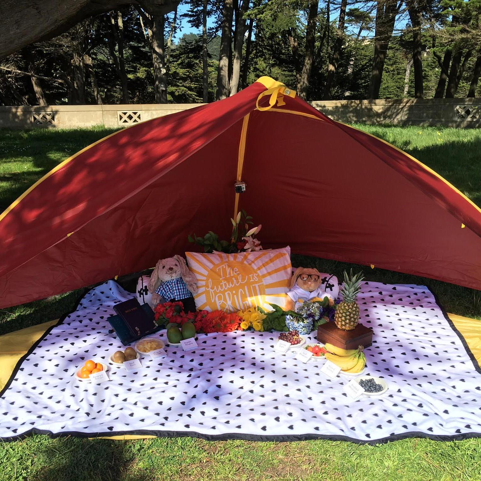 The Proposal Setup