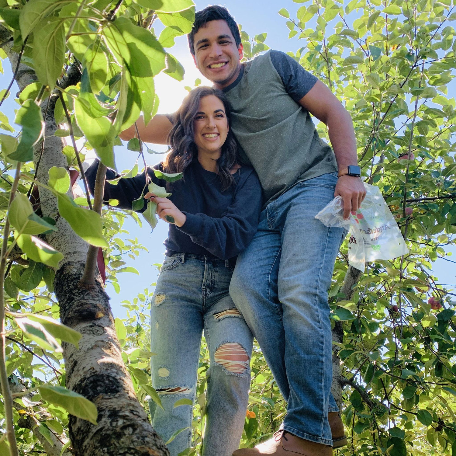 Apple picking!