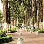 Paseo Colon y Venustiano Carranza