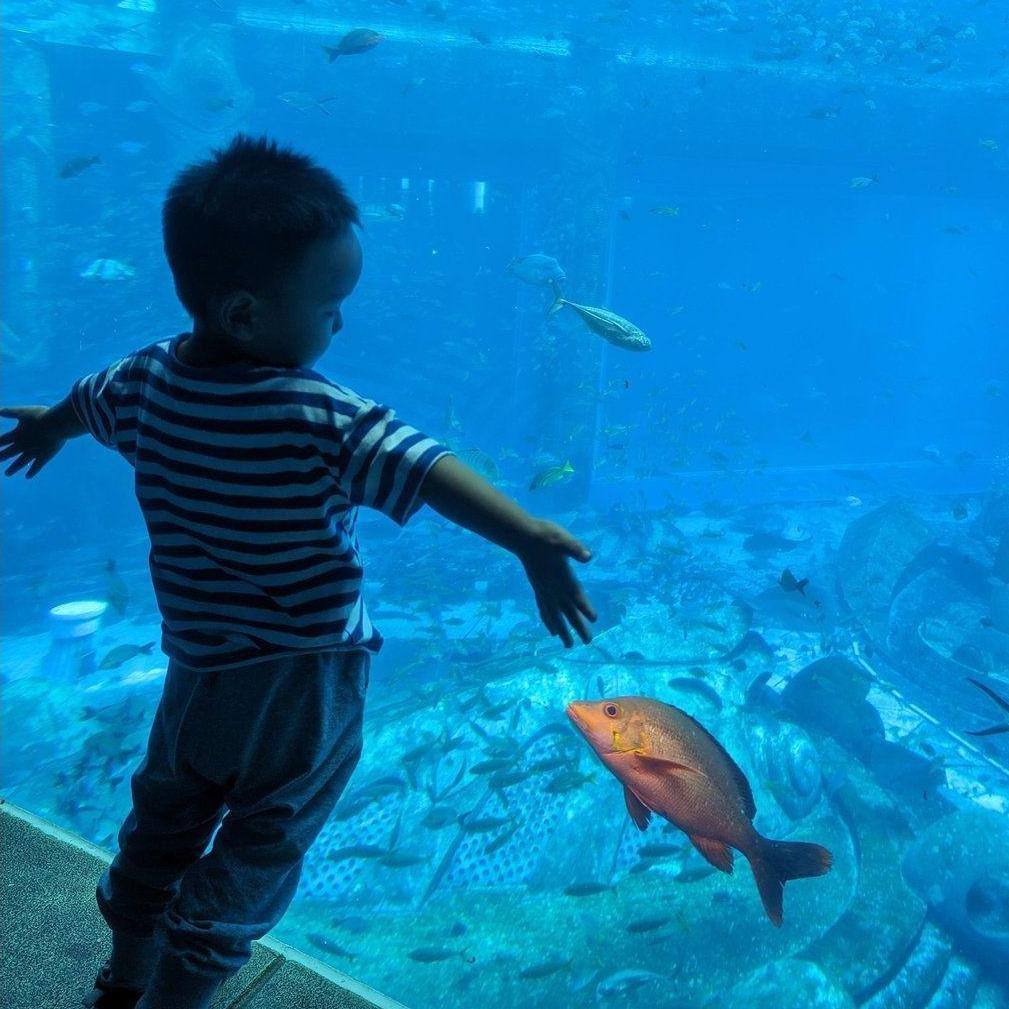 Aquarium at the Atlantis hotel