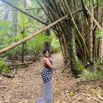 Bamboo Cathedral