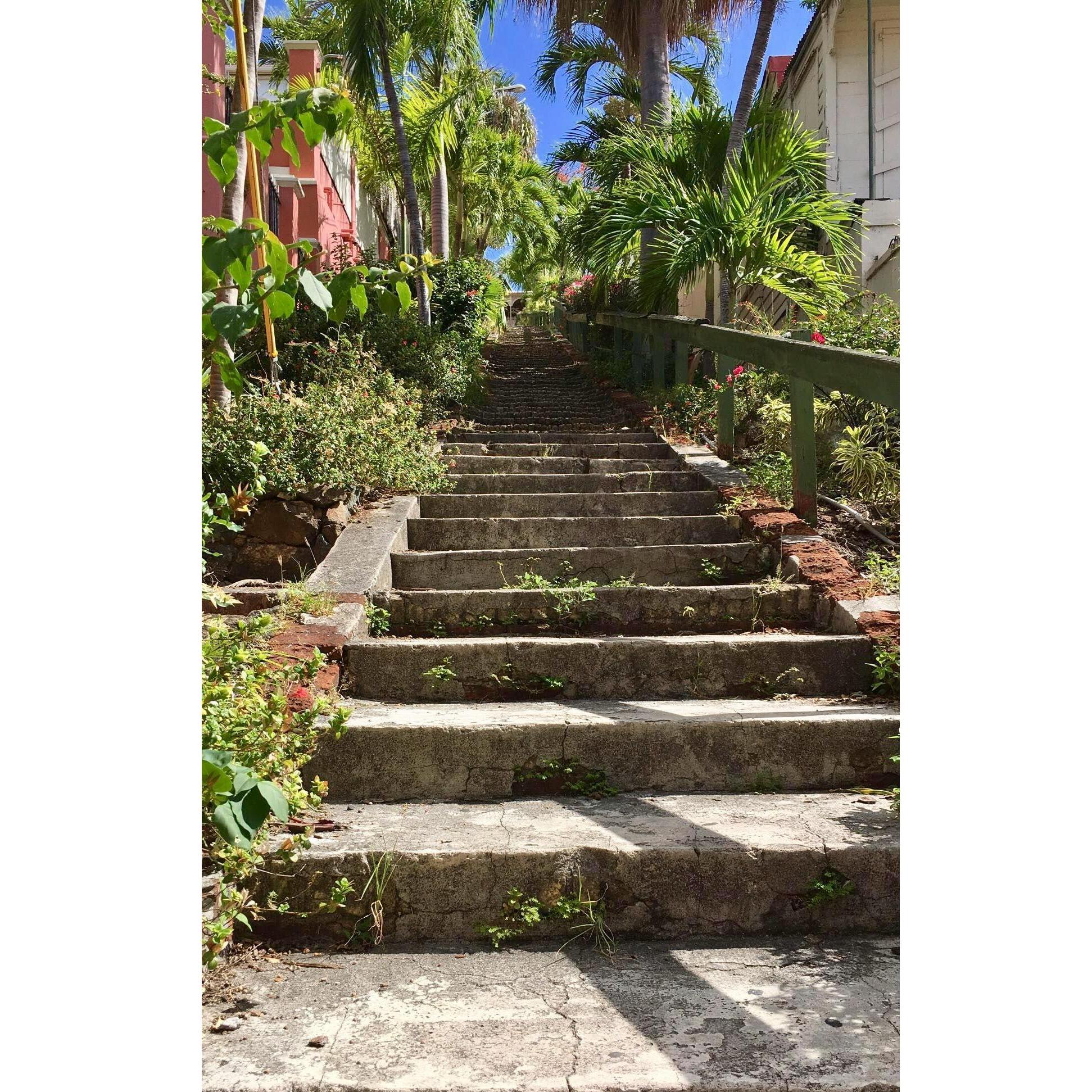 St. Thomas- 2017