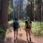 Sequoia & Kings Canyon National Parks