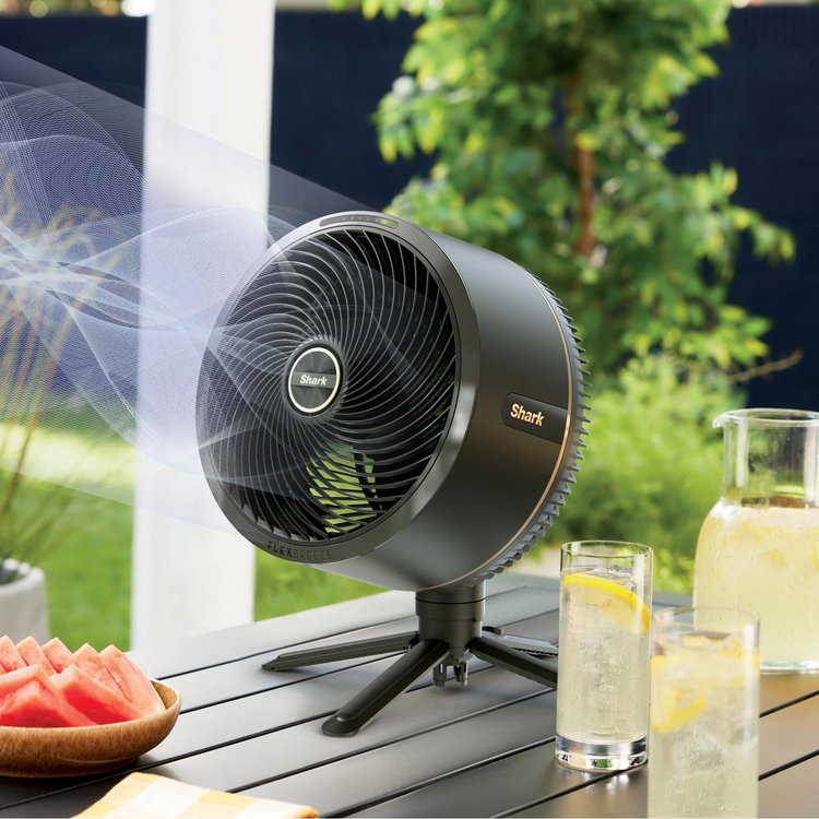 Shark, FlexBreeze Outdoor & Indoor Misting Fan | Zola