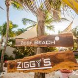 Ziggy's Beach Club & Restaurant