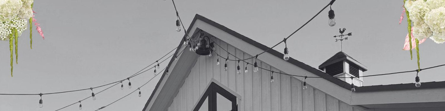 The Wedding Website of Avery Vosper and Braiden Tortorici