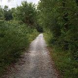 Landsdown Trail