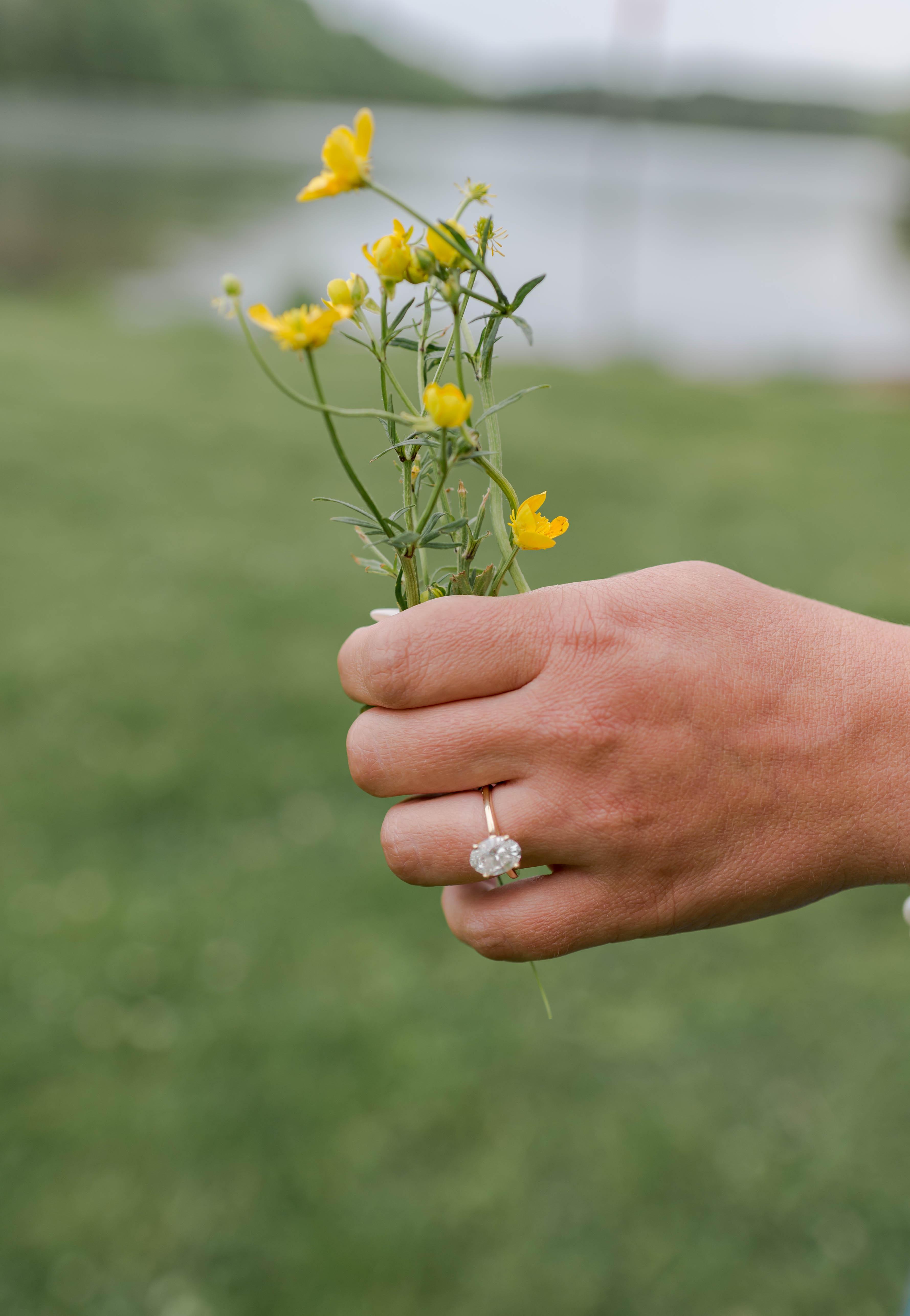 The Wedding Website of Rebecca Branstetter and Patrick Brumfield