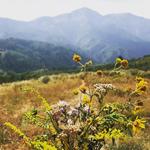 Nebo Loop Road