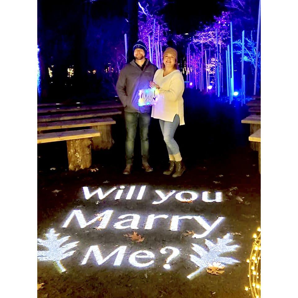 The proposal. Safe to safe it was a total surprise!