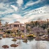 Japanese Tea Garden