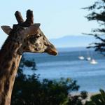 Santa Barbara Zoo