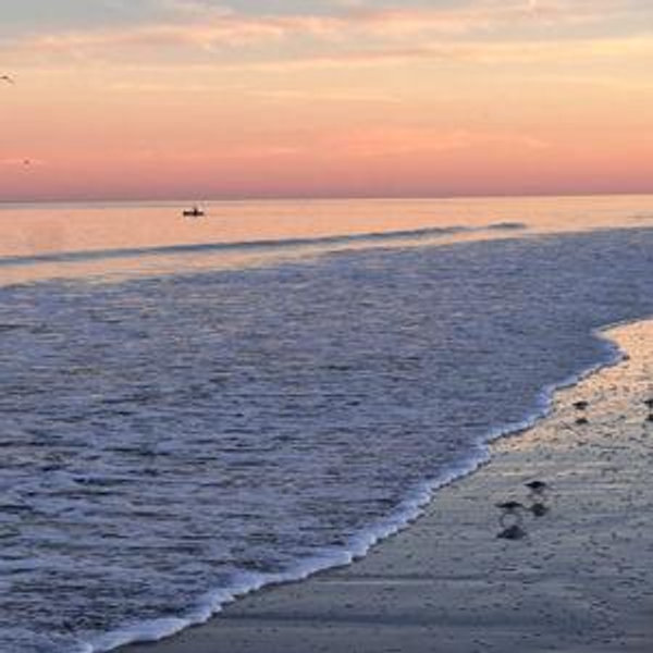 Honeymoon Cash Fund