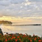 Avila Beach