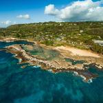 Shark's Cove