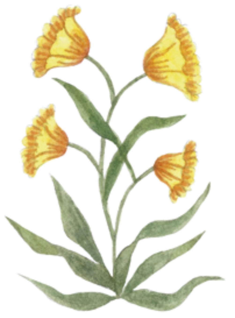 e28f907d-9ed1-40a6-bb9e-6628d9101786