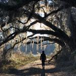Tom Brown Park