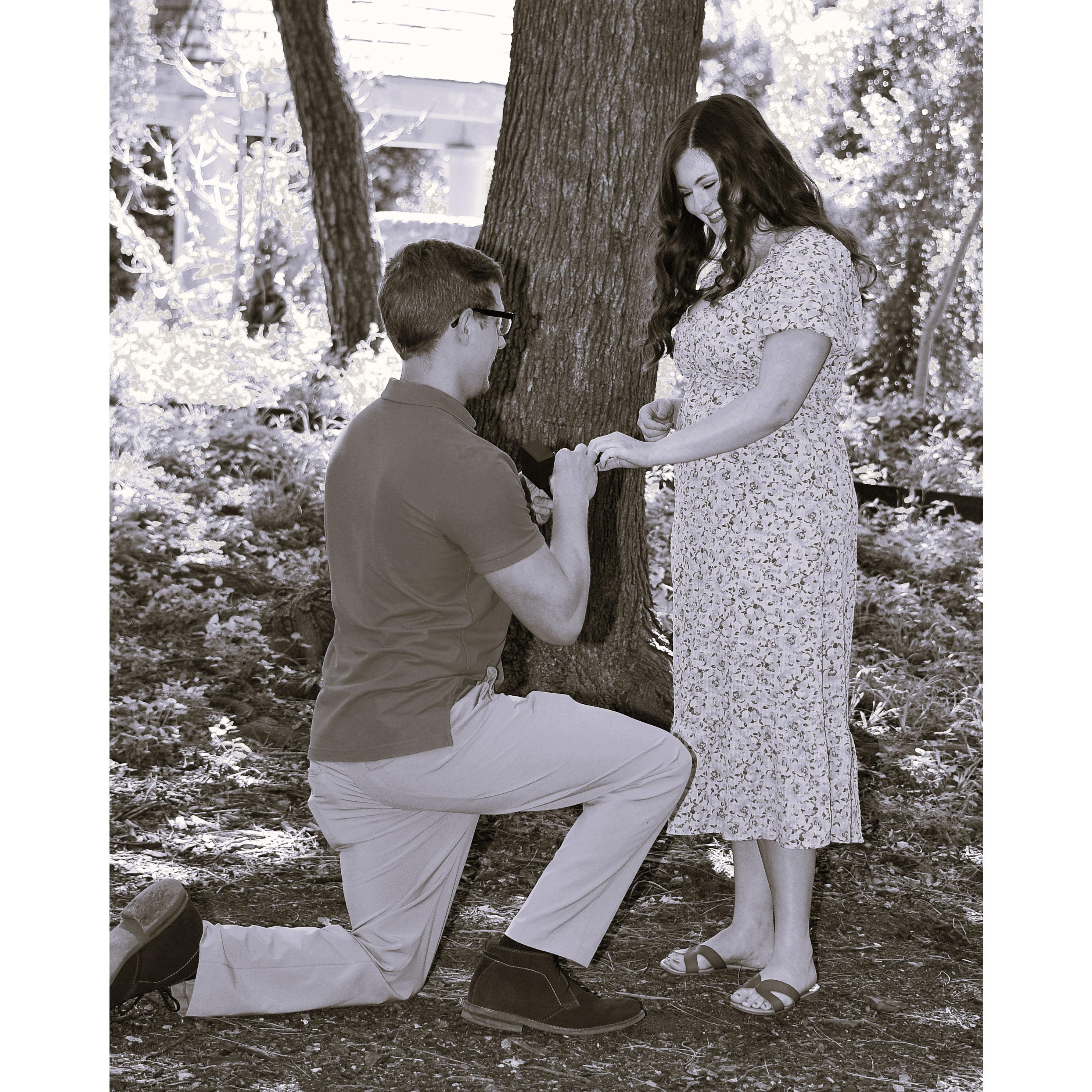 A surprise proposal at the Fort Worth Botanical Gardens