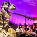 The Children's Museum of Indianapolis