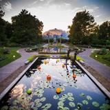 Missouri Botanical Garden