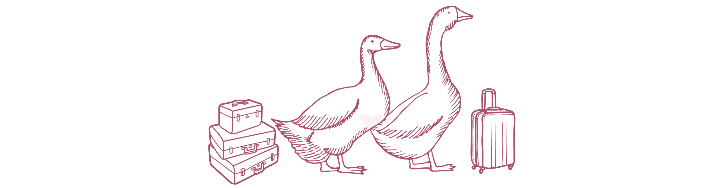 The Wedding Website of Zoe Webster and Matthew Webb