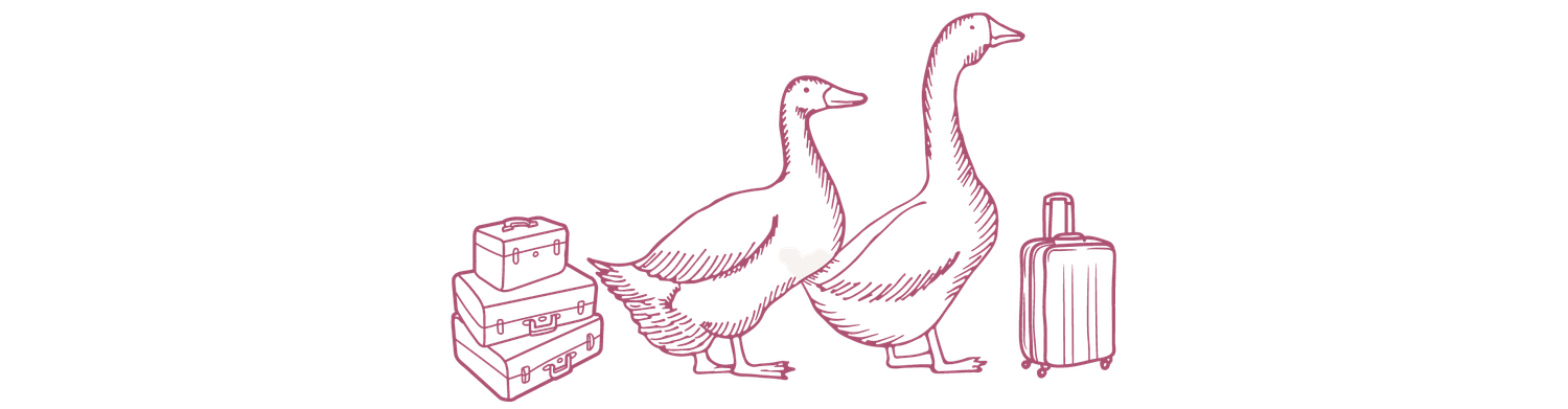 The Wedding Website of Zoe Webster and Matthew Webb