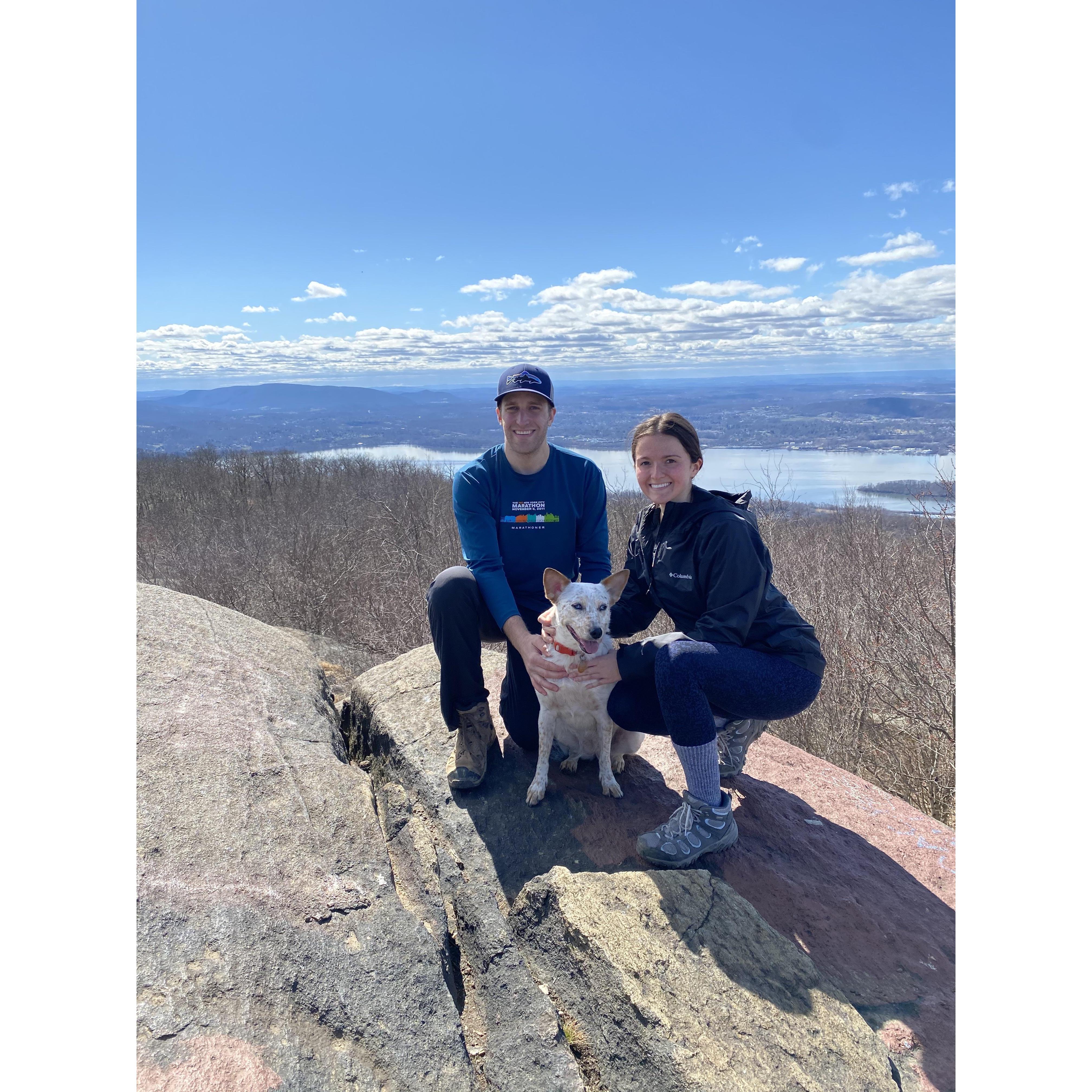 Hiking in the Hudson Valley after adopting Maxine