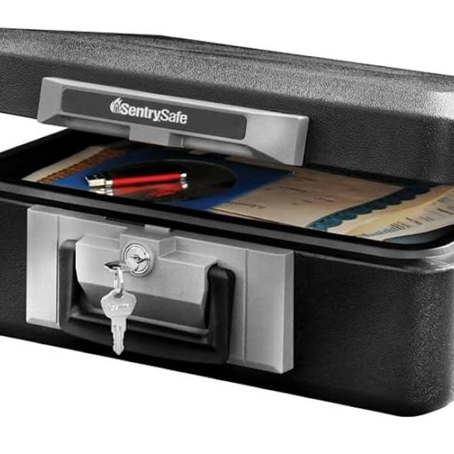 SentrySafe Fireproof Safe Box with Key Lock, Chest Safe with Carrying Handle to Secure Money, Jewelry, Documents, 0.25 Cubic Feet, 6.3 x 15.3 x 12.1 Inches, 1160