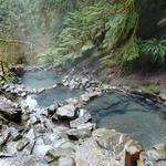 Cougar Hot Springs