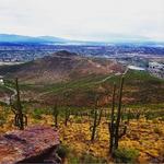 Tumamoc Hill