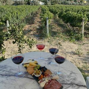 Food & Wine Fund