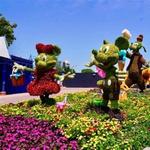 Flower & Garden Festival