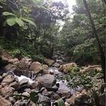El Yunque National Rainforest