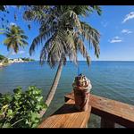 Frappe Vista al Manati