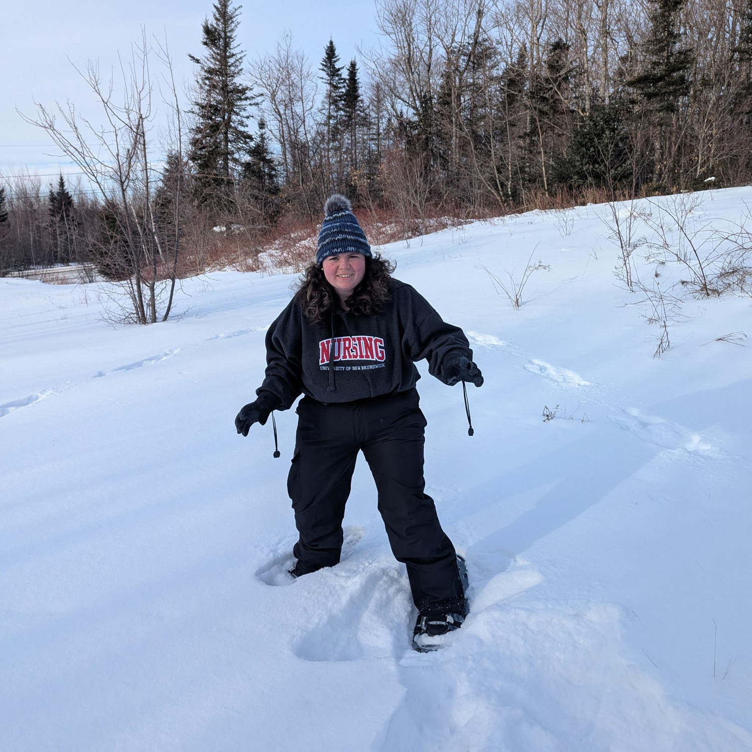 The wild polar Bre
