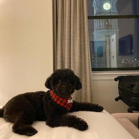 Tobey!