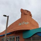 Owl Cafe