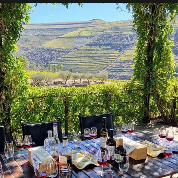 Full Day wine country tour in Porto, Portugal