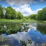 Wingfoot Lake State Park