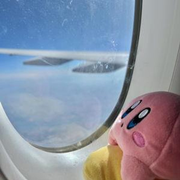 Flight upgrades