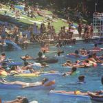 Barton Springs Municipal Pool