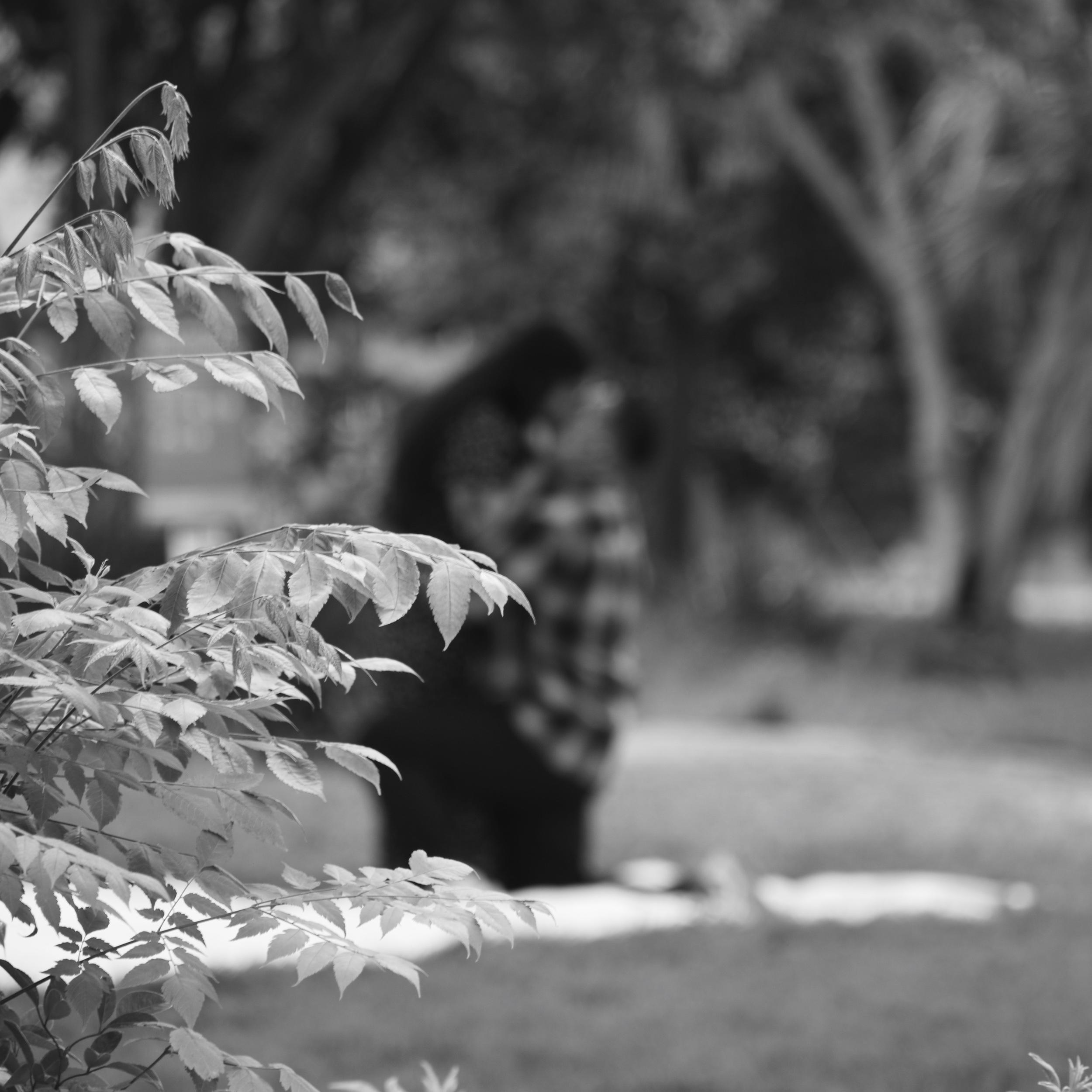 Hero Slideshow Image 2