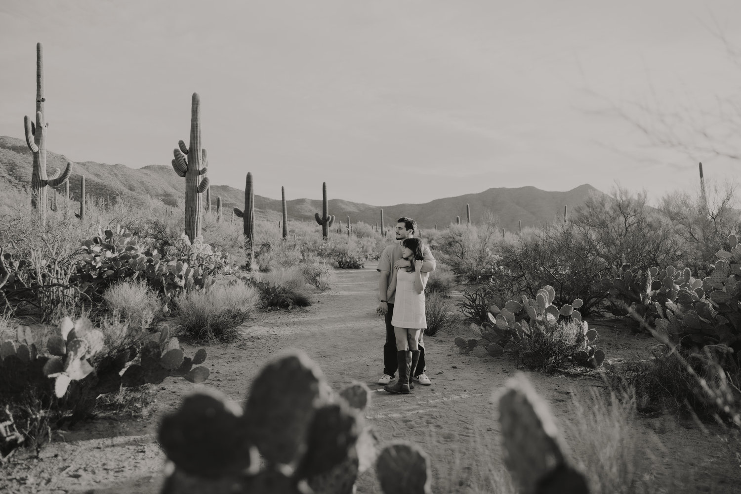 The Wedding Website of Isabella Lent and Aiden Moretti