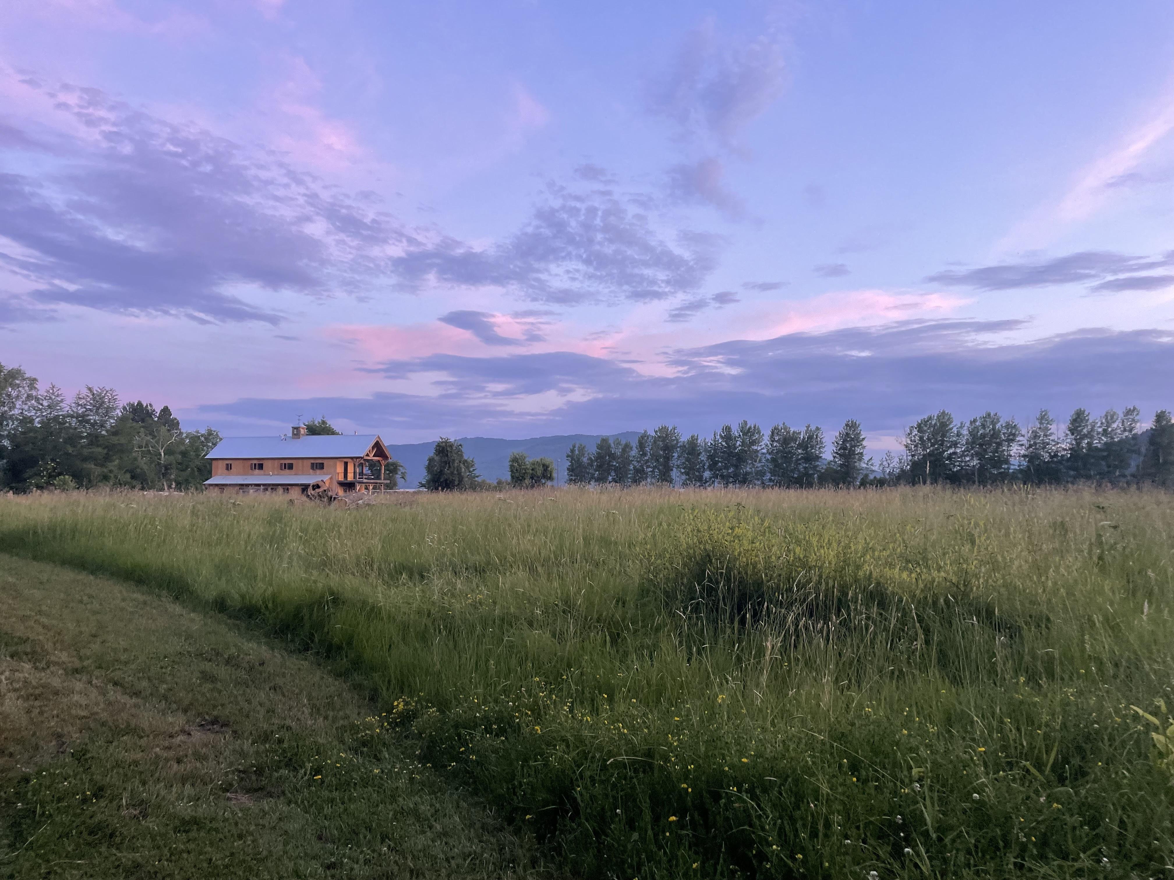 The Wedding Website of David Furman and Amy Lamden